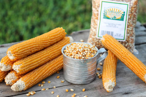 15 - 32 oz Unpopped Popcorn